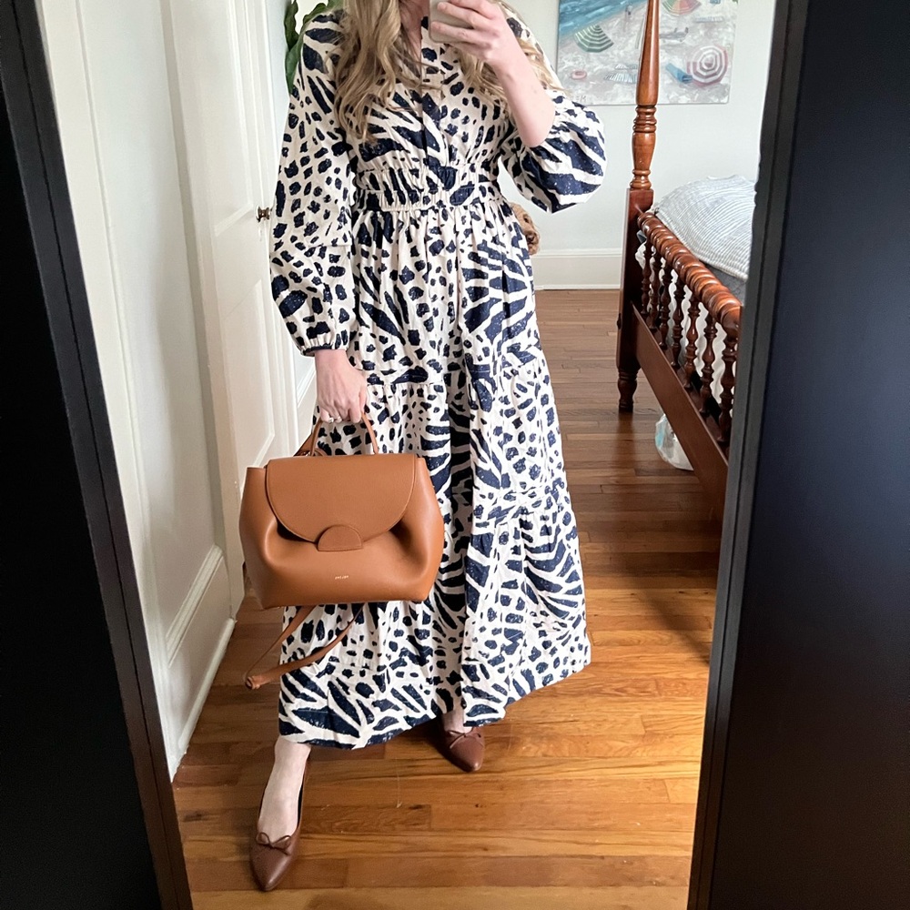 Anthropologie Somerset Long-Sleeve Maxi Dress: Poplin Edition XS blue and cream